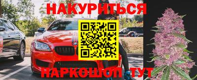 эйфоретик Славгород