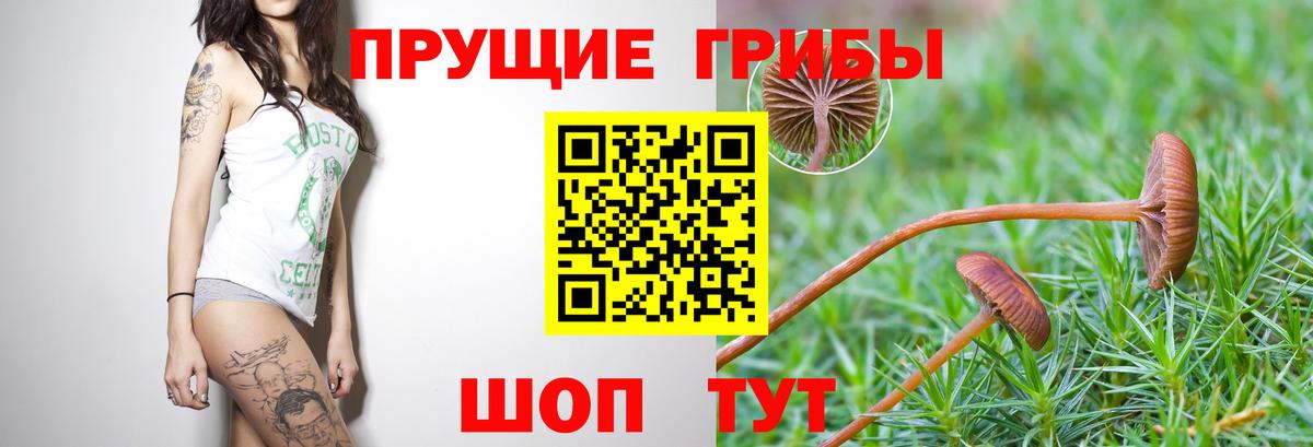 Галлюциногенные грибы MAGIC MUSHROOMS Прохладный