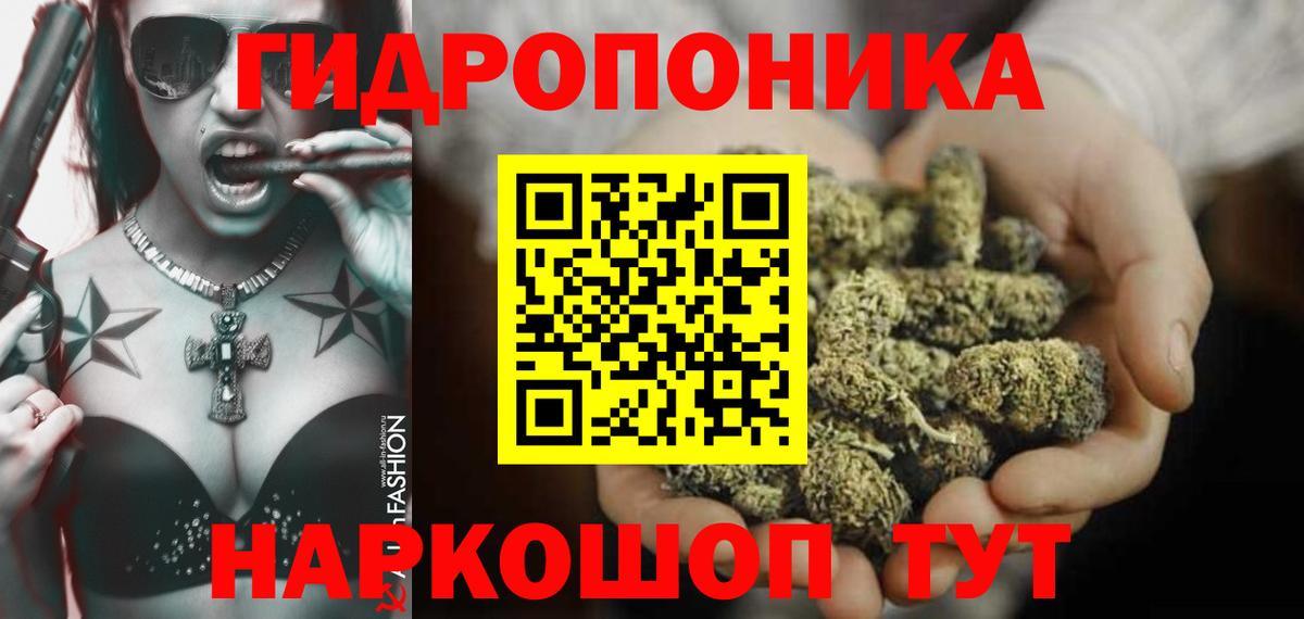 Марихуана конопля Прохладный